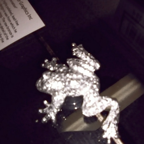 Pweter frog - Picture 2 of 6